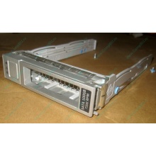 Салазки Sun 350-1386-04 в Рыбинске, 330-5120-04 1 для HDD (Рыбинск)