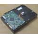 Жесткий диск HP 250Gb 7200 rpm 432337-001/ 399699-001 / 397377-004 (Рыбинск)