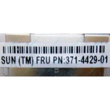 Серверная память SUN (FRU PN 371-4429-01) 4096Mb (4Gb) DDR3 ECC в Рыбинске, память для сервера SUN FRU P/N 371-4429-01 (Рыбинск)