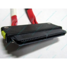 SATA-кабель для корзины HDD HP 451782-001 459190-001 для HP ML310 G5 (Рыбинск)