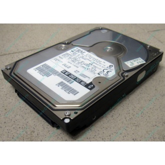 Жесткий диск 18.2Gb IBM Ultrastar DDYS-T18350 Ultra3 SCSI (Рыбинск)