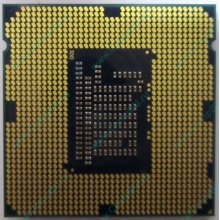 Процессор Intel Celeron G1620 (2x2.7GHz /L3 2048kb) SR10L s.1155 (Рыбинск)