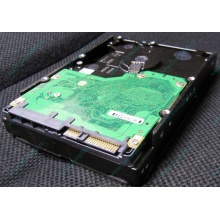 Жесткий диск 600Gb 15k Dell 9FN066-008 6G SAS ( Seagate Cheetach ST3600057SS 15K.7) - Рыбинск