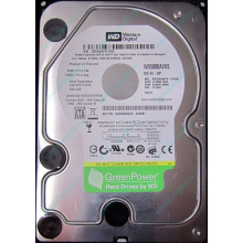 Б/У жёсткий диск 500Gb Western Digital WD5000AVVS (WD AV-GP 500 GB) 5400 rpm SATA (Рыбинск)