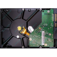 Б/У жёсткий диск 1Tb Western Digital WD10EVVS Green (WD AV-GP 1000 GB) 5400 rpm SATA (Рыбинск)