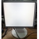 Монитор 17" TFT Nec MultiSync LCD175VXM+ бело-серебристый (Рыбинск)