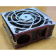 HP 224977 (224978-001) for Proliant ML370 G2/G3/G4 (Рыбинск).