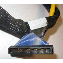 Кабель SCSI HP 166298-037 для HP ML370 G4 (Рыбинск)