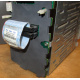 HP 365664-001 кабель SCSI для корзины 373108-001 / 359719-001 HP ML370G4 (Рыбинск)