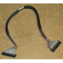 FDD-кабель HP 271946-006 для ML370 (Рыбинск)