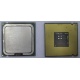 Процессор Intel Celeron D 336 (2.8GHz /256kb /533MHz) SL98W s.775 (Рыбинск)