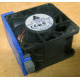 Вентилятор TFB0612GHE для корпусов Intel SR2300 / SR2400 (Рыбинск)