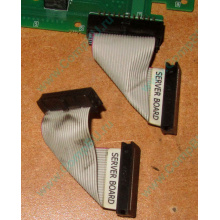 6017B0045701 Шлейф 24 pin для Intel C74974-401 T0043401-B01 корпуса SR2400 (Рыбинск)