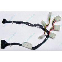 59P4789 FRU 59P4792 в Рыбинске, кабель IBM 59P4789 FRU 59P4792 для серверов X225 (Рыбинск)