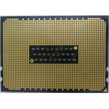 AMD Opteron 6128 OS6128WKT8EGO (Рыбинск)