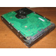 Жесткий диск 300Gb 15k Seagate Cheetach ST3300656SS 15K.6 Dell 9CH066-050 6G SAS (Рыбинск)