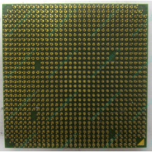 Процессор AMD Sempron 3000+ (1.6GHz) SDA3000IAA3CN s.AM2 (Рыбинск)